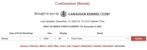 December 2025 Champions & Performance Titles
